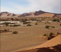 Wüste Namibias