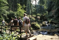 Paketreise Unterwegs mit den Spessarträubern